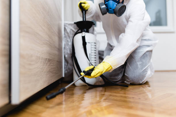 Best Pest Control Near Me  in Buellton, CA