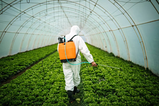 Best Local Pest Control Services  in Buellton, CA