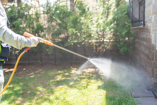 Flea Control Services in Buellton, CA