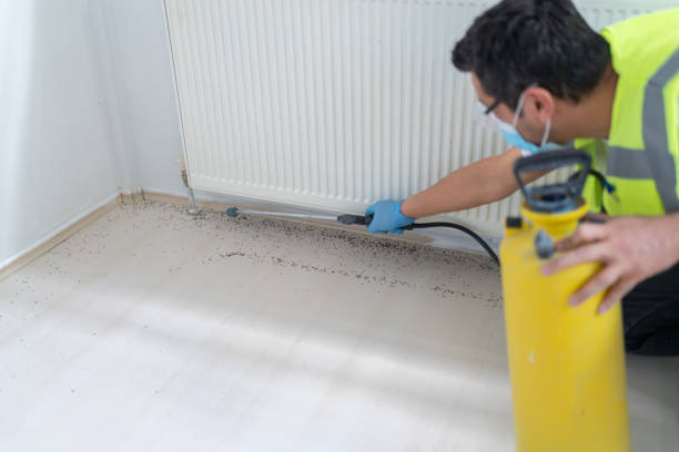 Best Pest Prevention Services  in Buellton, CA