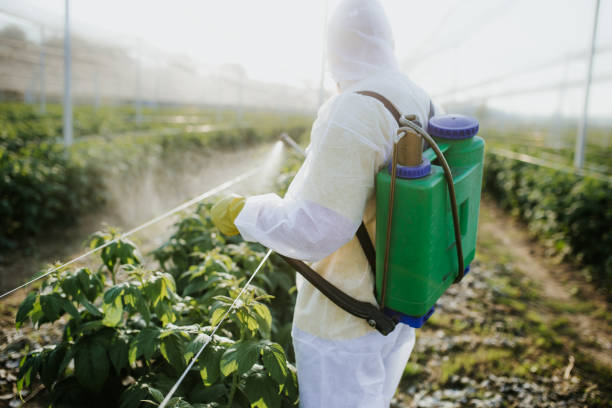 Best Termite Control Services  in Buellton, CA